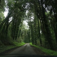 Sintra - Roadtrip in den Märchenwald.
