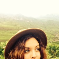 The Safari Diaries