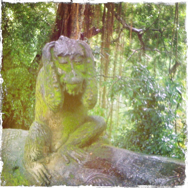 monkey f 007