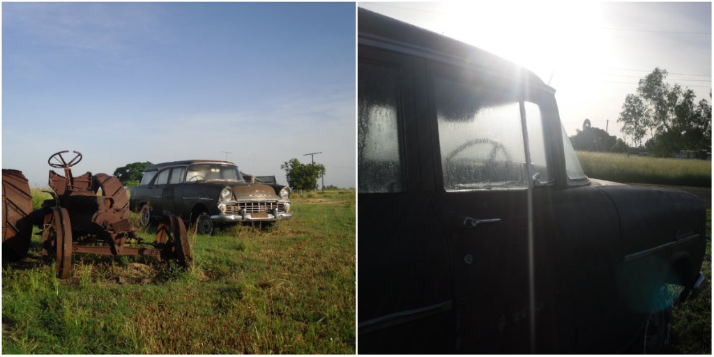 collageprairie