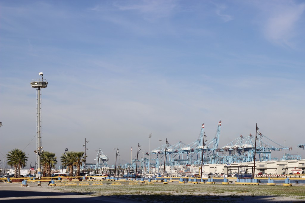 _MG_0124