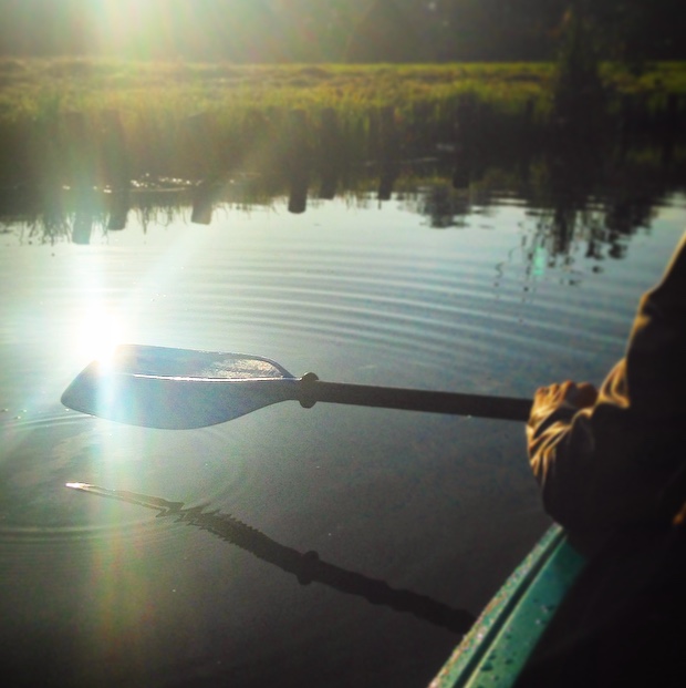 Spreewald5