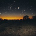 IMG_3404
