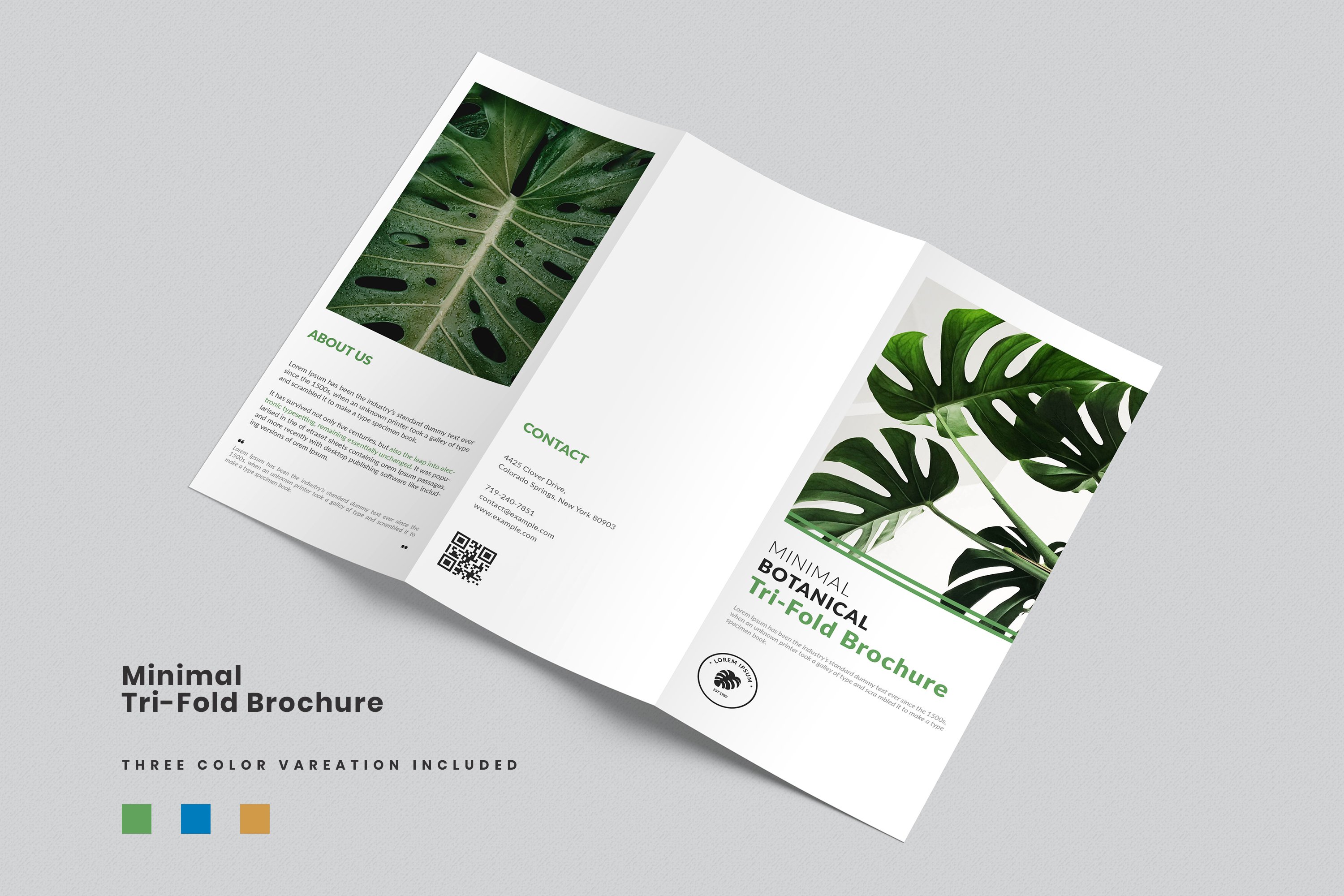 Brochure